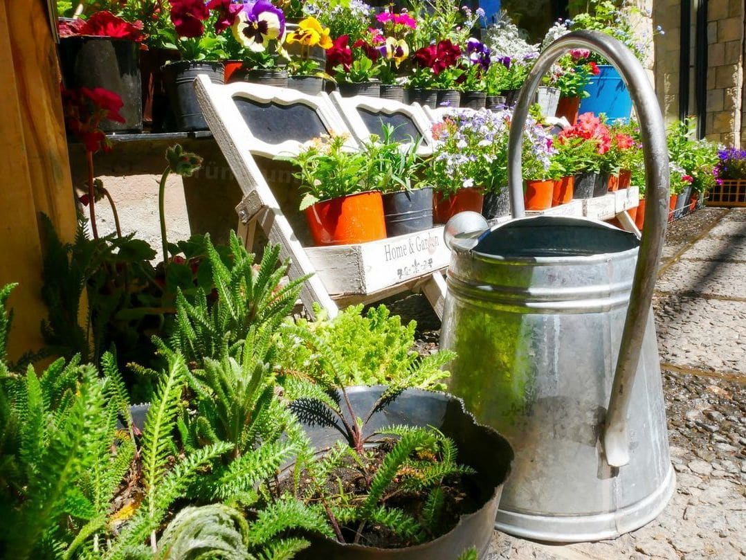 Mehr Ordnung im Außenbereich: Tipps für gepflegte Gartenflächen