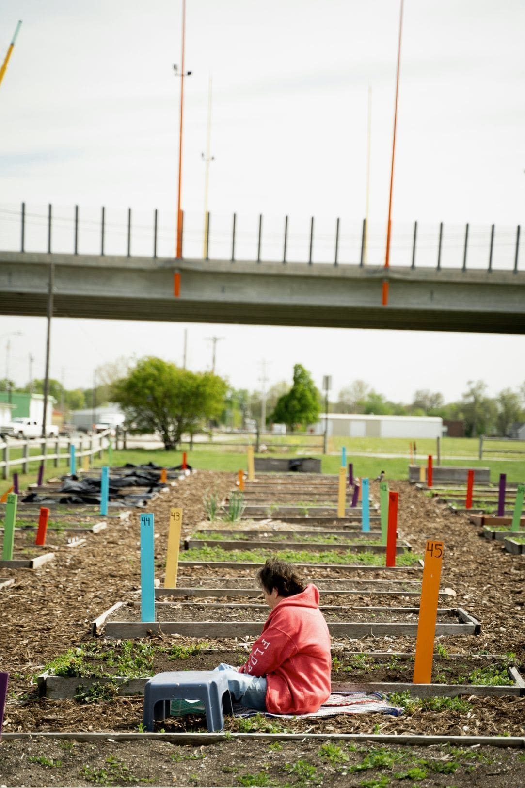 Saisonale Gartenbereinigung