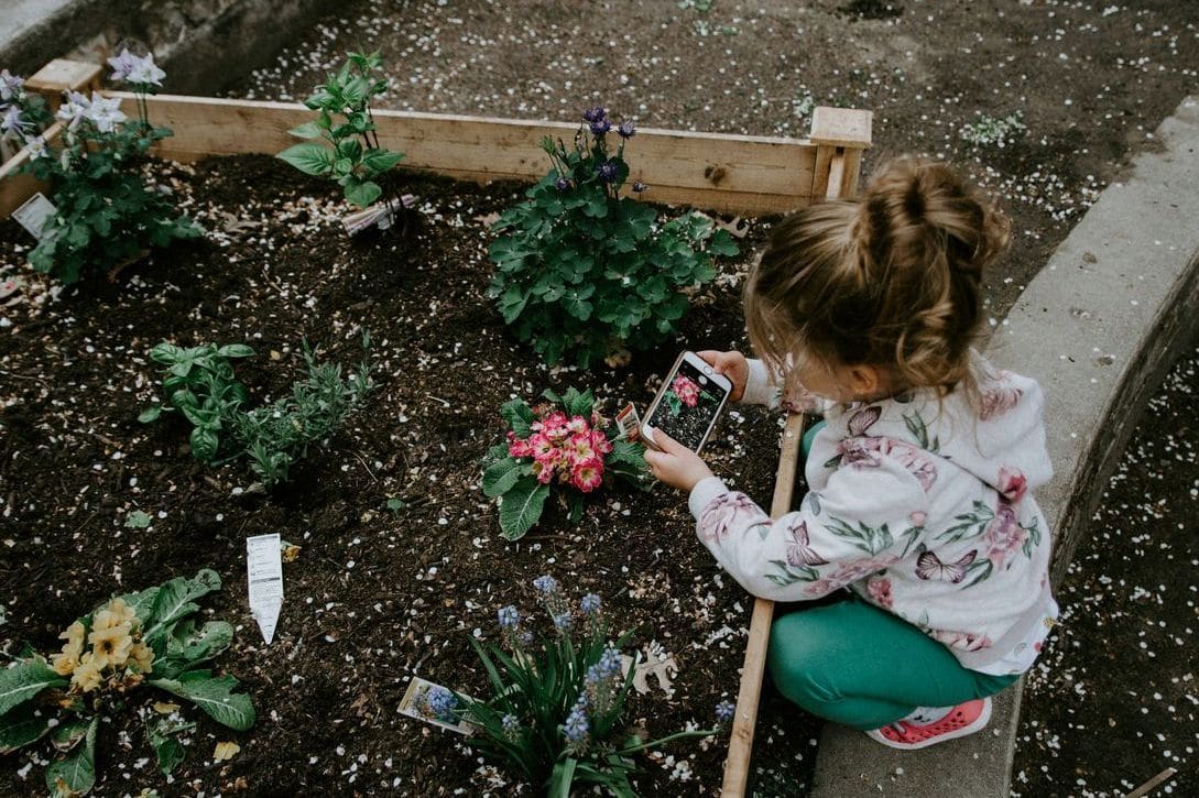 Gartenplanung und kleinere Umgestaltungen